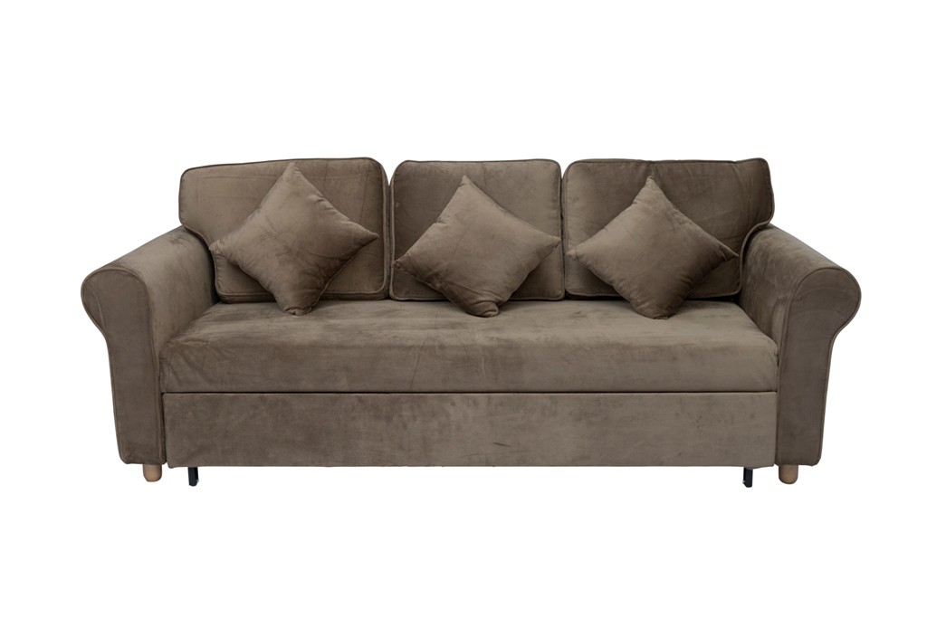 pull Out Sofa Bed